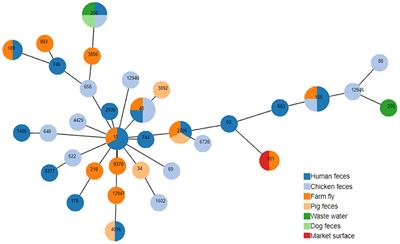 Genomic epidemiological analysis of mcr-1-harboring Escherichia coli collected from livestock settings in Vietnam